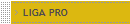 LIGA PRO